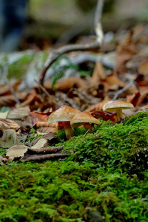 S20121104_124249 S20121104_124249