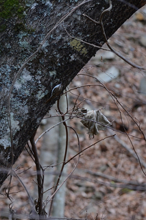 S20131201_153010t S20131201_153010t