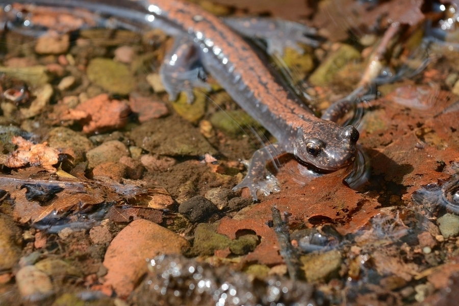s-2015-05-02_15-01-42.jpg