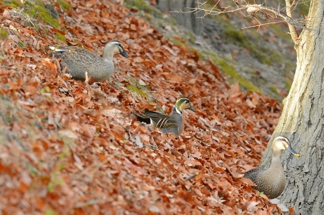s-2016-12-28_15-33-13T.jpg