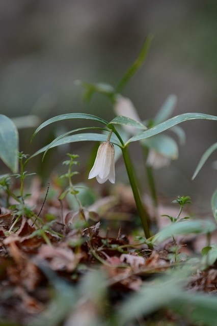 s-2017-03-19_14-51-52.jpg