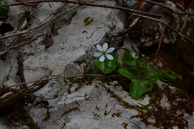 s-2017-04-29_08-38-43.jpg