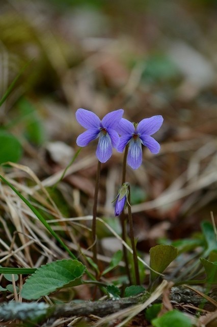 s-2017-04-29_09-58-25.jpg