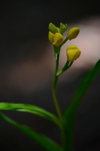 s-2017-06-03_12-32-08.jpg