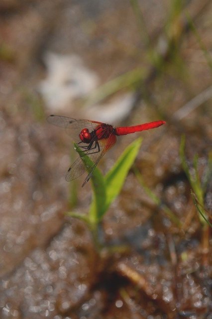 s-2017-06-10_13-08-03.jpg