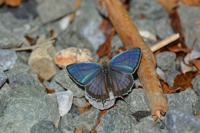 s-2017-06-17_08-07-08T.jpg