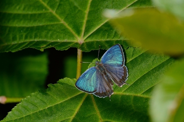 s-2017-06-17_08-08-48T.jpg