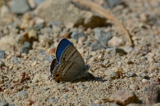 s-2017-06-17_08-17-46T.jpg