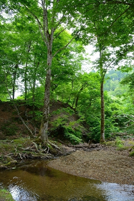 s-2017-06-18_07-45-07.jpg