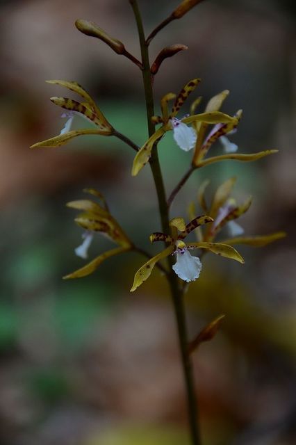 s-2017-06-18_09-15-33.jpg