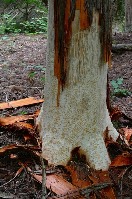s-2017-06-18_13-31-41.jpg