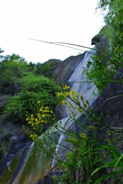 s-2017-06-24_07-13-33.jpg