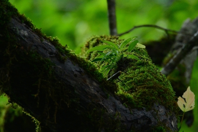 s-2017-07-01_10-03-49T.jpg