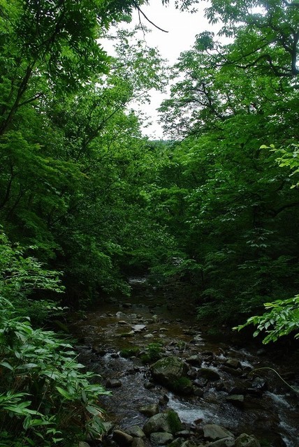 s-2017-07-01_11-04-32.jpg