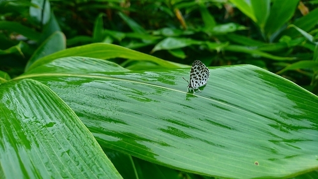 s-2017-08-12_09-19-29.jpg