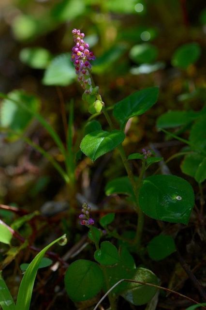 s-2017-08-19_08-49-08T.jpg