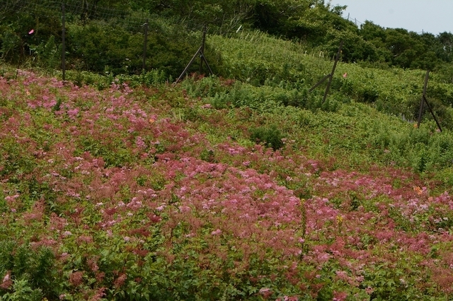 s-2017-08-19_10-30-53.jpg