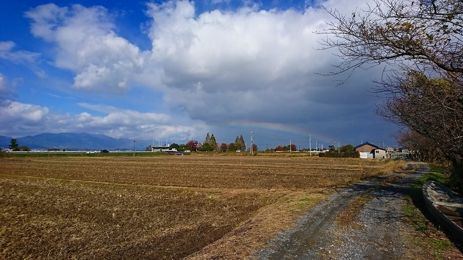 s-2017-11-11_12-40-26.jpg