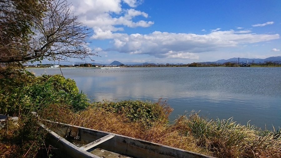 s-2017-11-11_12-40-34.jpg