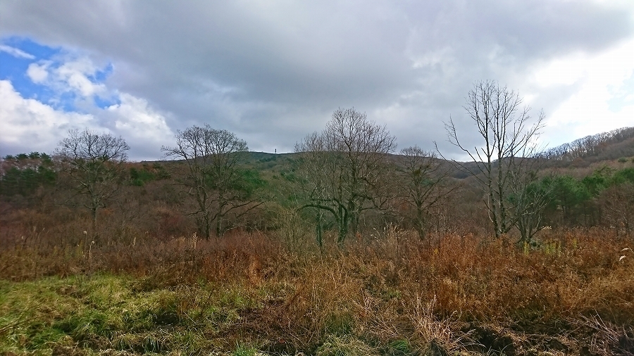 s-2017-11-23_10-02-38.jpg