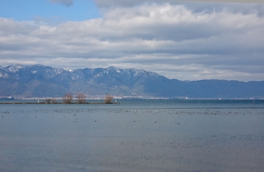 s-2018-01-13_12-13-02T.jpg