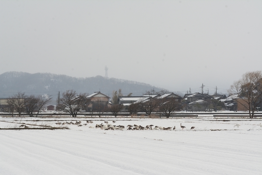 s-2018-02-11_09-54-37.jpg