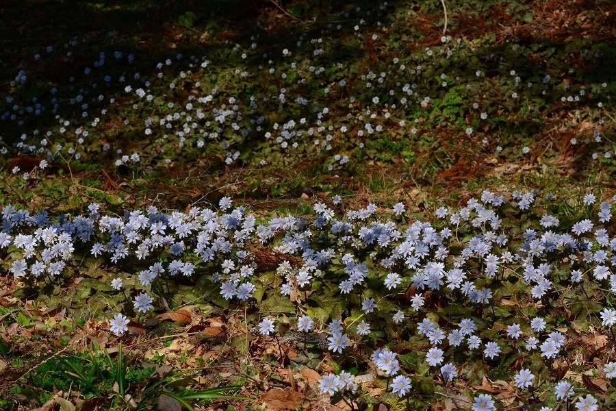 s-2018-03-04_12-00-45.jpg