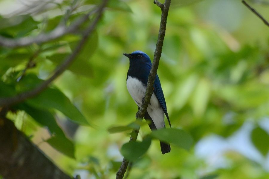 s-2018-04-22_10-54-42T.jpg