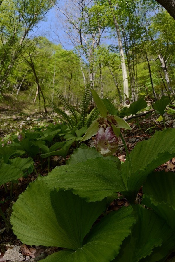 s-2018-04-29_07-53-34.jpg