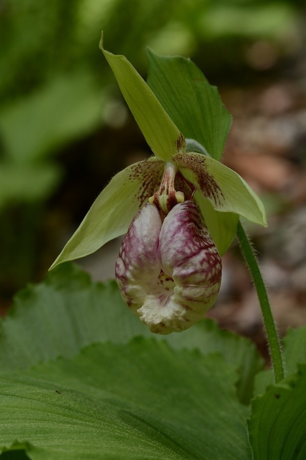 s-2018-04-29_07-54-53.jpg