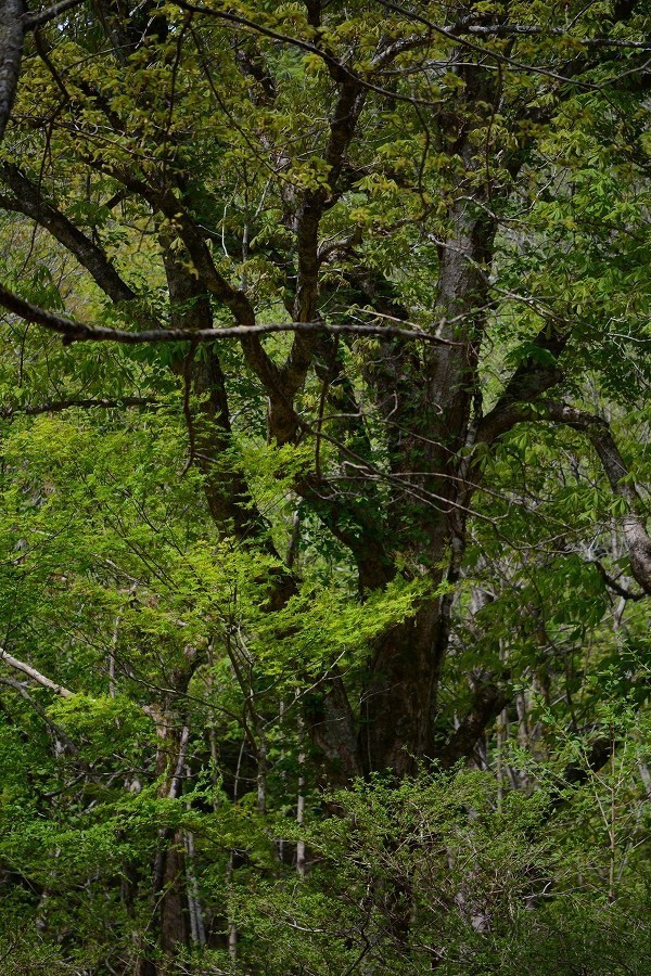 s-2018-04-30_09-42-39.jpg