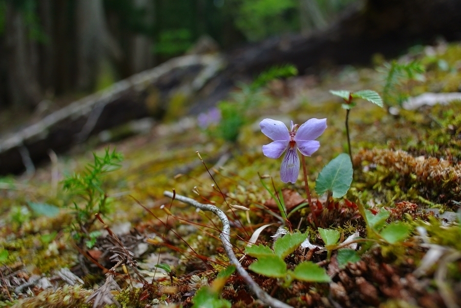s-2018-04-30_13-51-34.jpg
