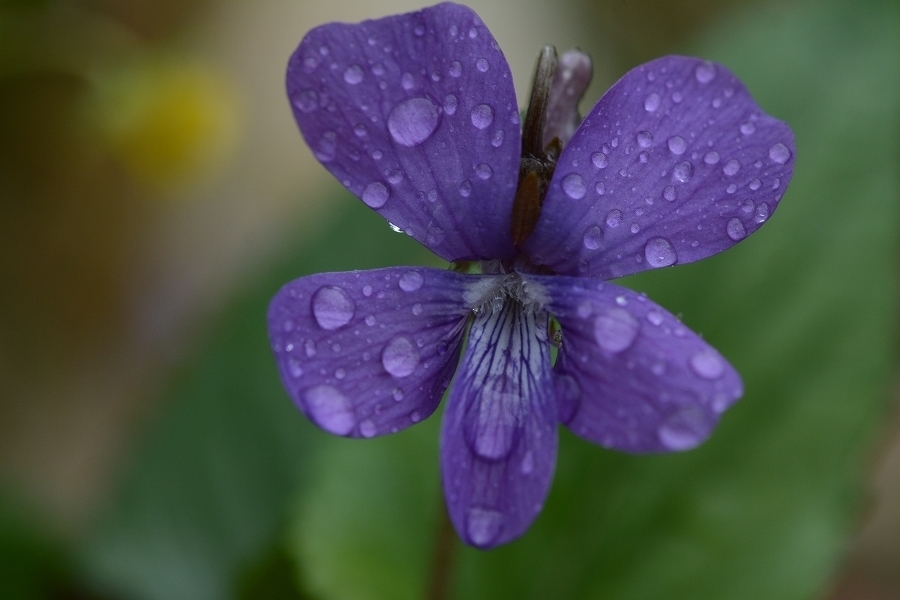 s-2018-05-02_11-47-01.jpg