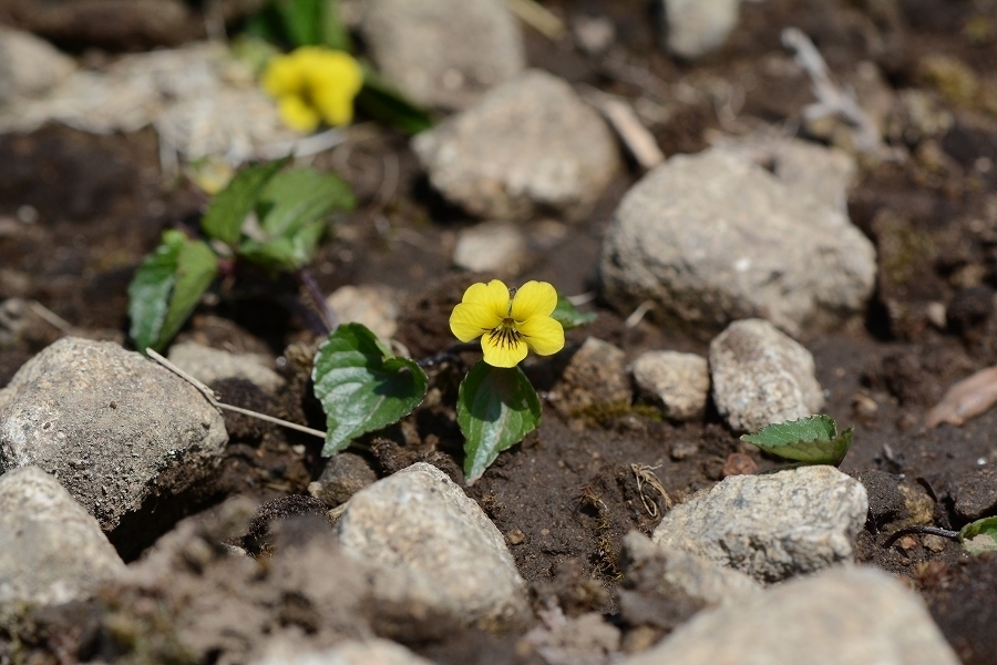 s-2018-05-05_09-58-44.jpg
