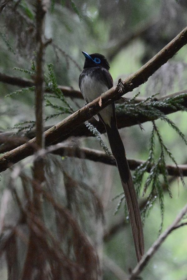 s-2018-05-19_10-47-39T.jpg