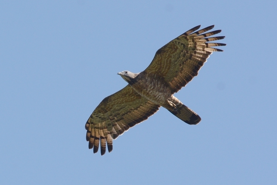s-2018-09-23_09-36-02T.jpg