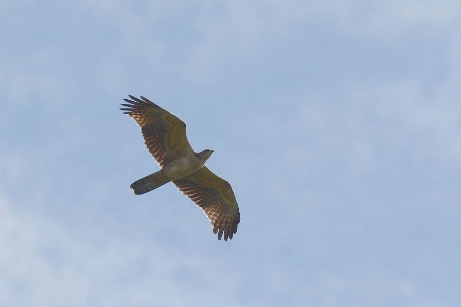 s-2018-09-23_09-37-07T.jpg
