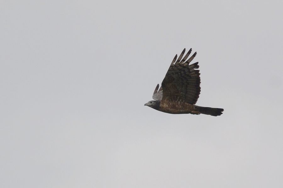 s-2018-09-23_15-18-06T.jpg