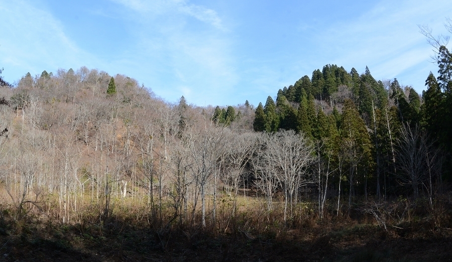 s-2018-12-02_13-25-50T.jpg