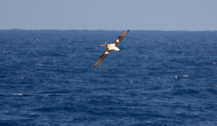 s-2019-03-20_14-03-57T.jpg