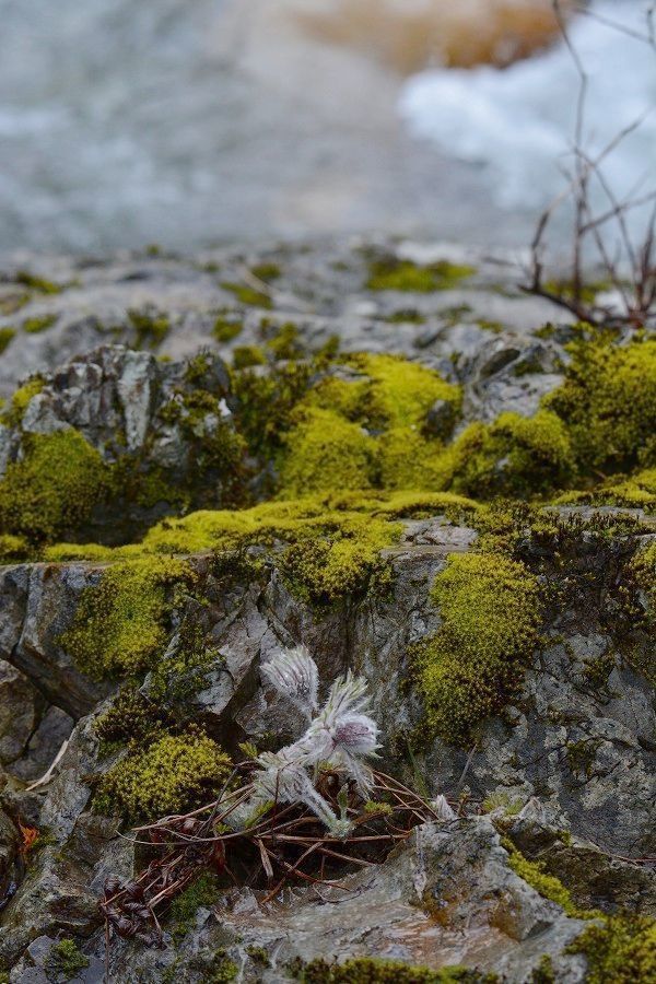 s-2019-03-30_12-00-11.jpg
