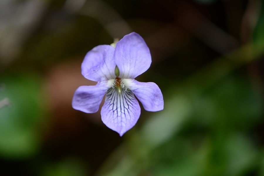s-2019-03-30_15-16-33.jpg