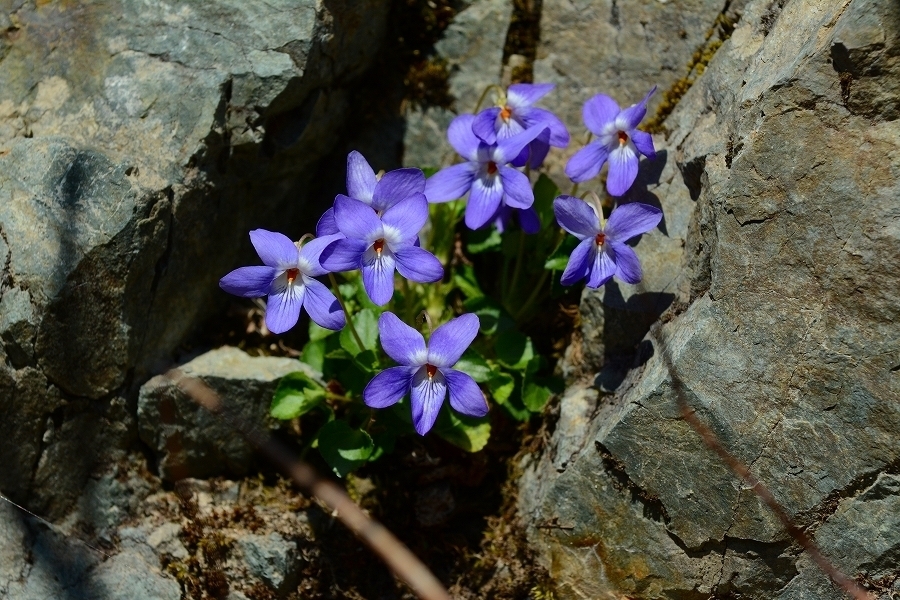 s-2019-04-13_09-47-07.jpg