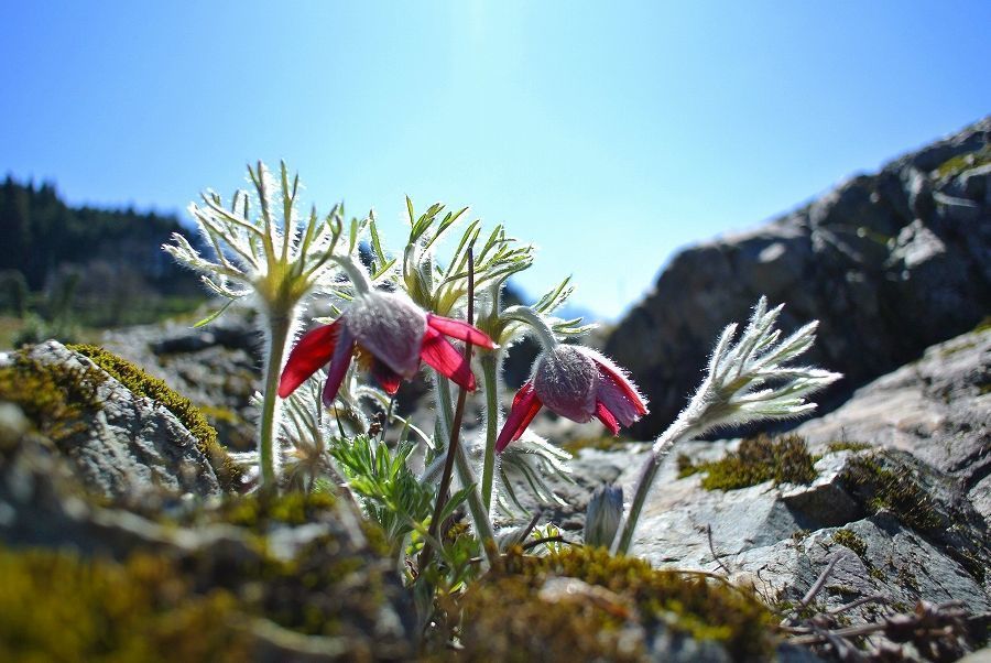 s-2019-04-13_09-54-37.jpg