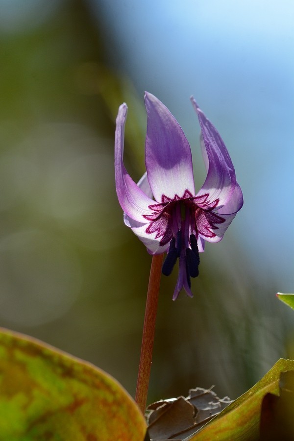 s-2019-04-13_11-47-46.jpg