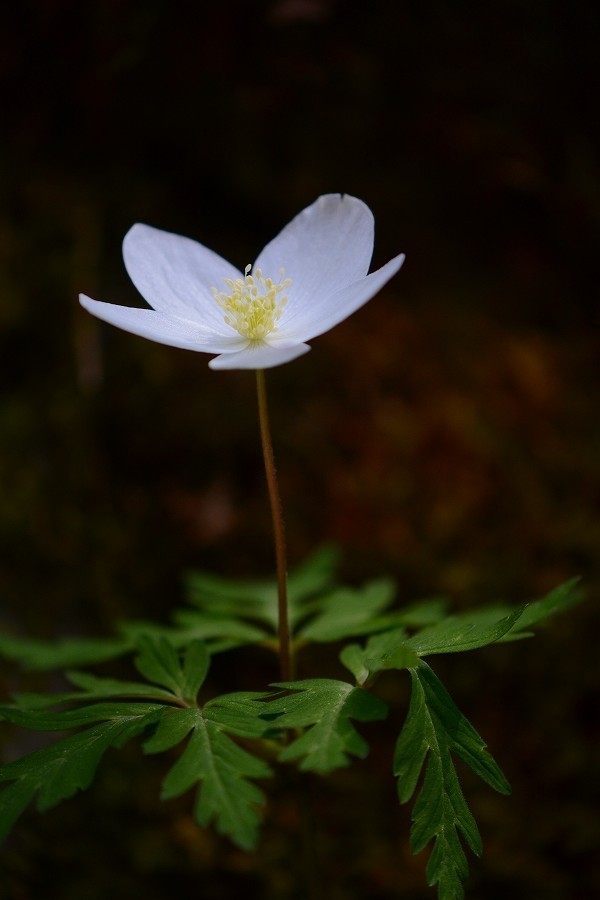 s-2019-04-13_12-33-31.jpg
