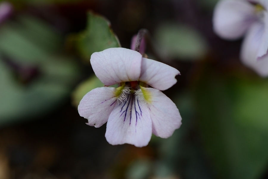 s-2019-04-13_14-54-07.jpg