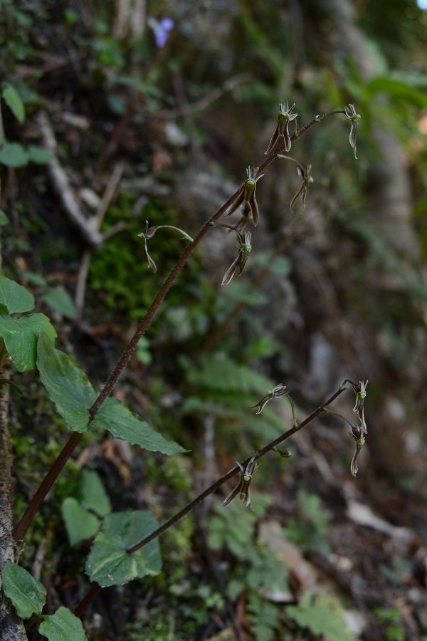 s-2019-04-20_08-35-57T.jpg