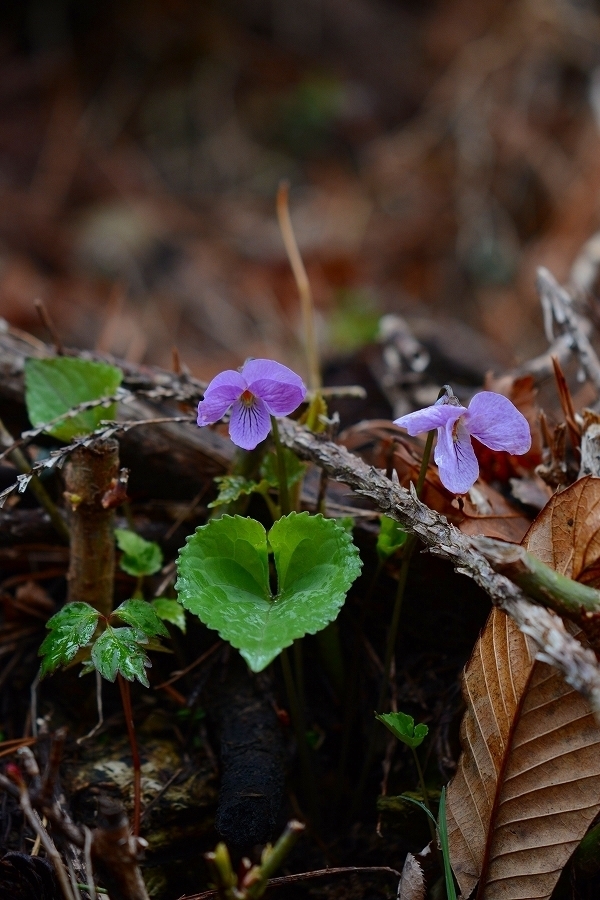 s-2019-04-27_10-28-48T.jpg