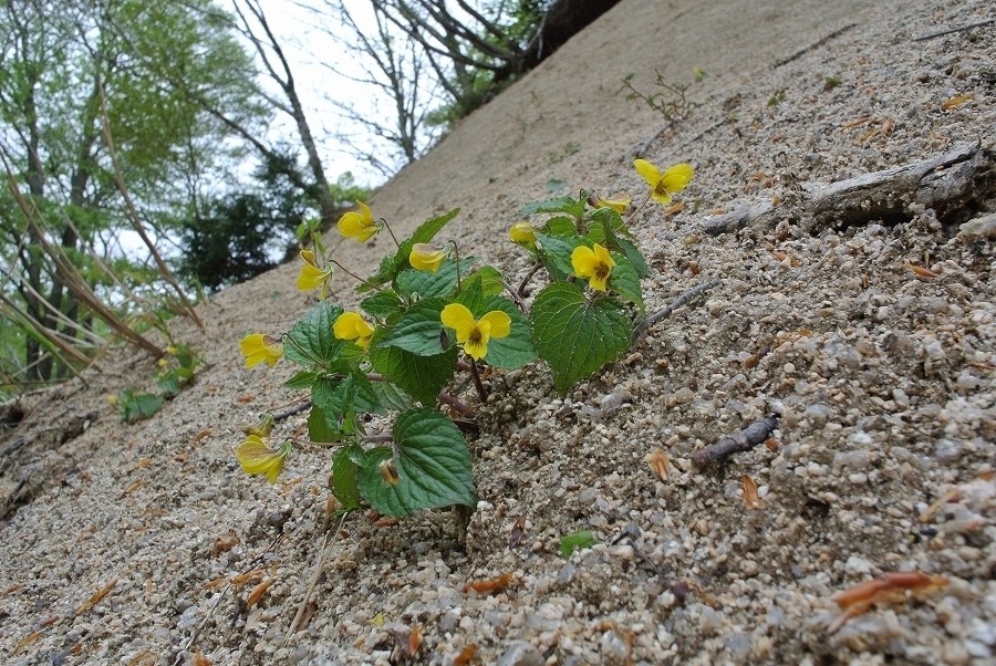 s-2019-04-29_12-26-30.jpg